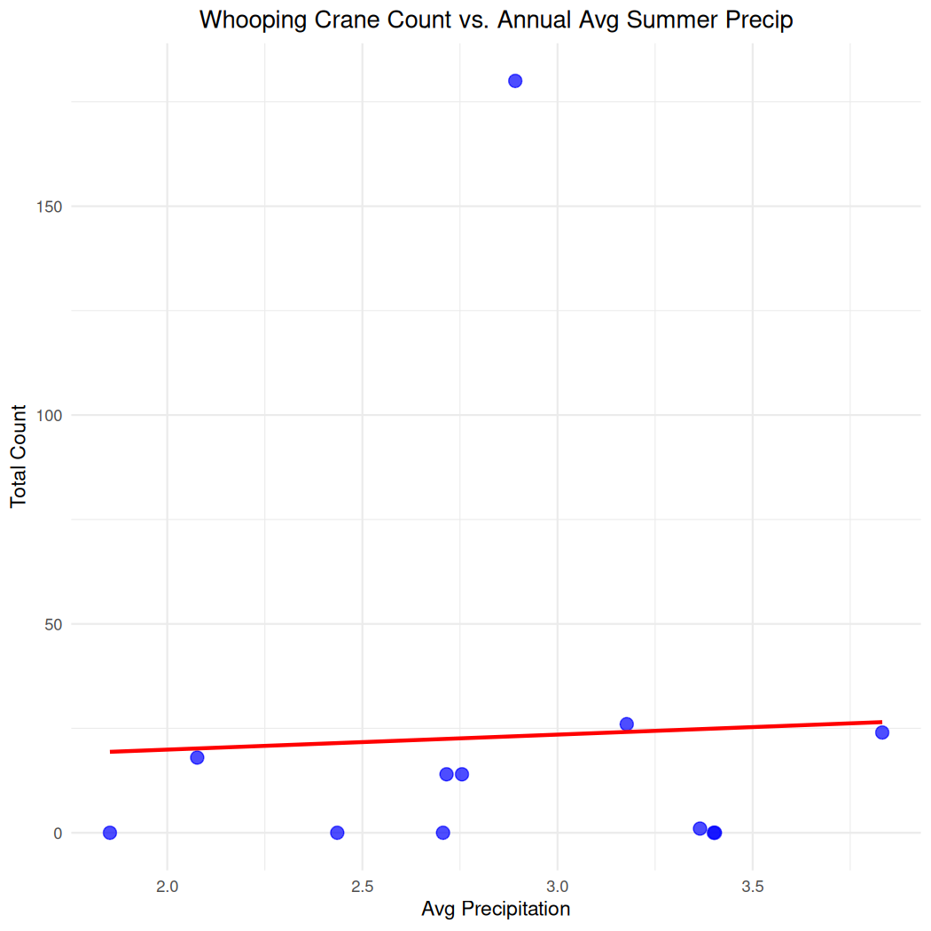 Scatterplot showing no relationship between the total count of whooping crans and average summer precipitation, with one extremely high precipation point.