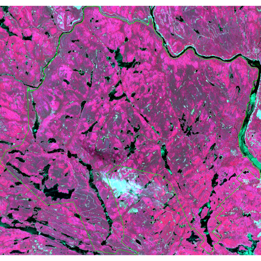 Plot shows the cropped Mauricie park in false color.