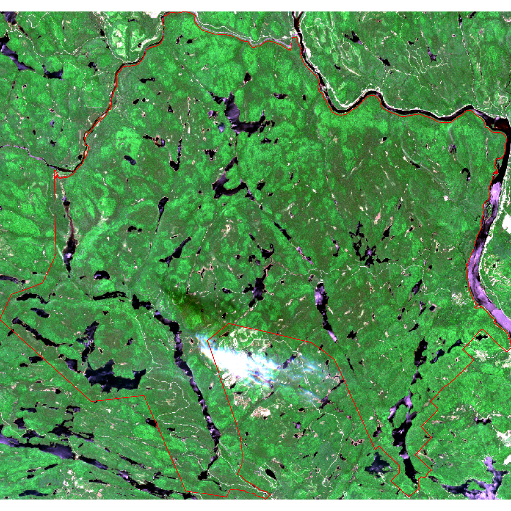 Plot shows the cropped Mauricie park in true color.