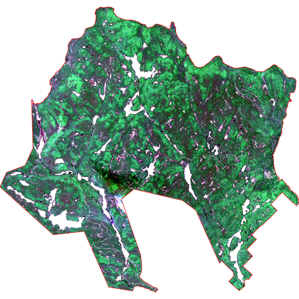 Plot depicts a true color composite image of the masked National Park boundary area.